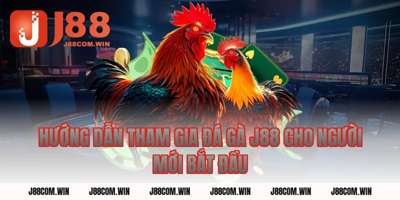 Hướng Dẫn Tham Gia Đá Gà J88 Cho Người Mới Bắt Đầu
