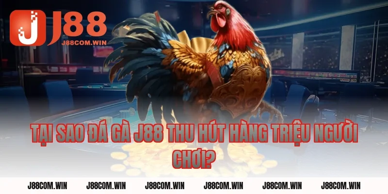 Tại Sao Đá Gà J88 Thu Hút Hàng Triệu Người Chơi?