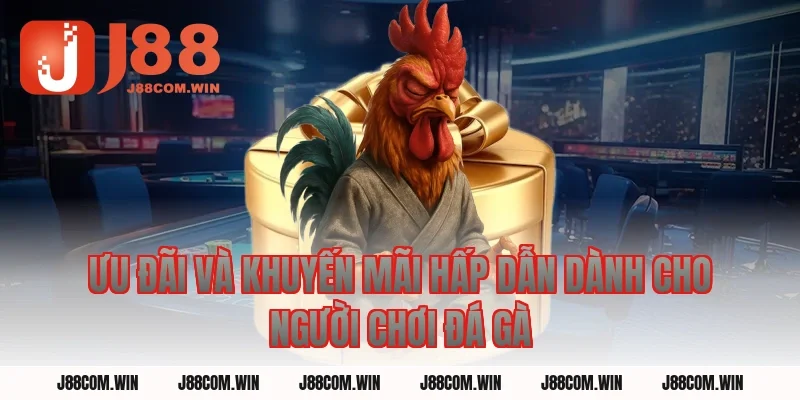 Ưu Đãi Và Khuyến Mãi Hấp Dẫn Dành Cho Người Chơi Đá Gà